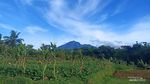 Pamijahan, Surga Wisata Alam di Kaki Gunung Salak