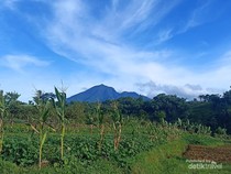 Pamijahan, Surga Wisata Alam di Kaki Gunung Salak