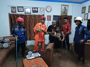 Ular Piton Masuk Rumah Warga Trenggalek Saat Banjir