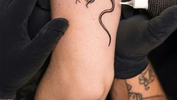 Pengalaman dan dedikasinya dalam mempelajari keahliannya membawanya pada mentornya, Felipe “Pride” Bustos, yang membantu Panda mengasah kemampuannya dan mengembangkan gayanya yang khas.  Foto: Boredpanda/Tatu Panda