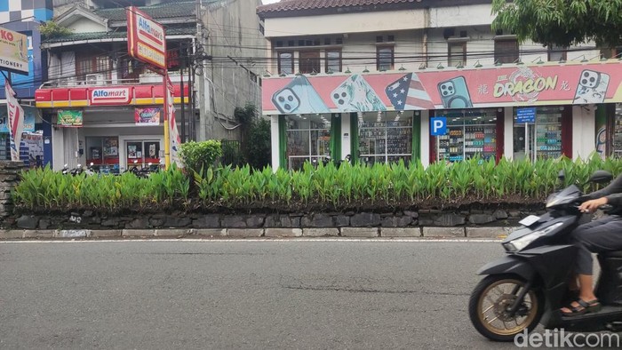Taman di median Jalan Gejayan Sleman bakal dipercantik. Revitalisasi dimulai Senin (17/3/2025).