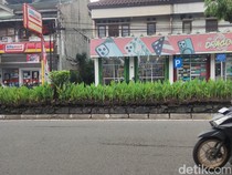 Makin Dipercantik, Taman Median Gejayan Bakal Ditanami Pohon Tabebuya