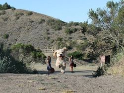 Tampak Seperti Editan, Tapi Foto Ini Nyata Terjadi