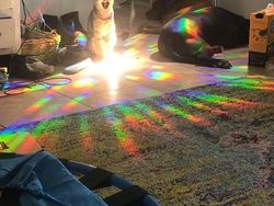 Tampak Seperti Editan, Tapi Foto Ini Nyata Terjadi