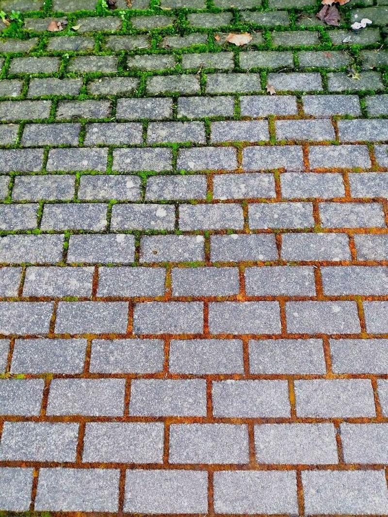 Terlihat Seperti Editan, Tapi Foto Ini Nyata Terjadi