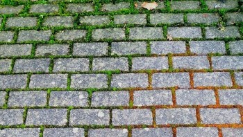 lumur yang bergradasi. Foto: Boredpanda