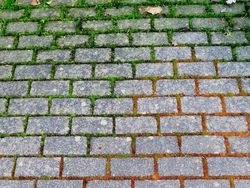 Tampak Seperti Editan, Tapi Foto Ini Nyata Terjadi