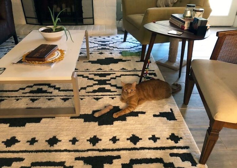 Terlihat Seperti Editan, Tapi Foto Ini Nyata Terjadi