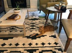 Tampak Seperti Editan, Tapi Foto Ini Nyata Terjadi