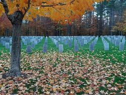 Tampak Seperti Editan, Tapi Foto Ini Nyata Terjadi