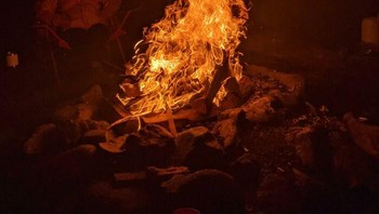 Foto kobaran api terlihat seperti hewan Rusa. Foto: Boredpanda