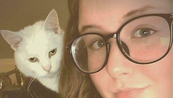 Kucingku duduk di sandaran kursi, ia terlihat seperti mengenakan jaket kulit Foto: Boredpanda