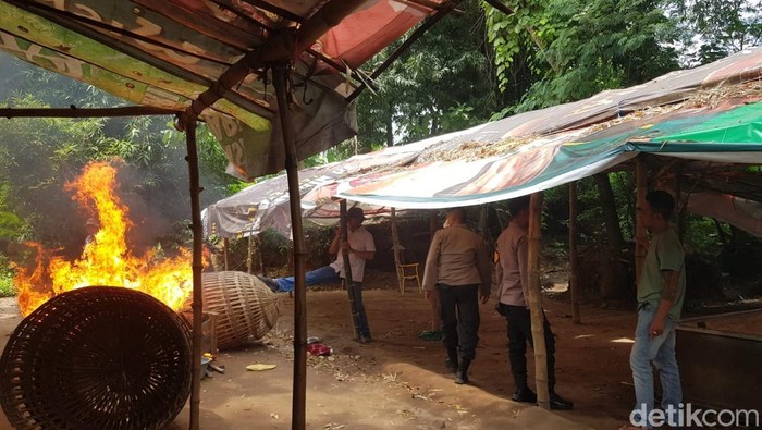 Arena judi sabung ayam dibakar aparat
