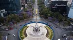 Bunga Jacaranda Mekar Merona Menghiasi Jalanan Meksiko