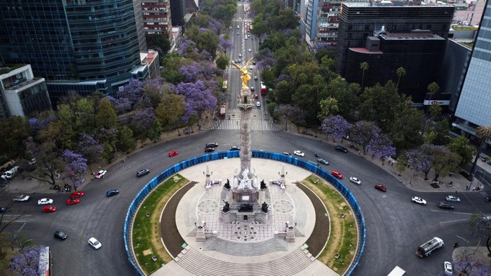 People pass by a Jacaranda tree in Mexico City, Mexico, March 12, 2025. REUTERS/Raquel Cunha