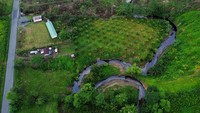 Para petani juga khawatir asap yang keluar dari sungai akan memengaruhi tanaman dan hewan mereka. 