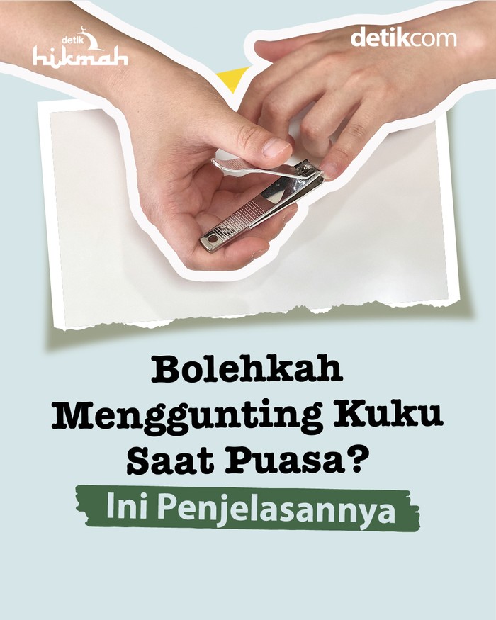 Infografis