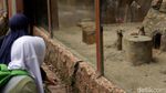 Bahagianya Anak-anak Saat Ngabuburit di Bandung Zoo