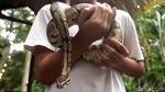 Bahagianya Anak-anak Saat Ngabuburit di Bandung Zoo