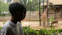 Ada 48 orang anak yang mengikuti Kegiatan ‘Kemilau Senyum Anak Yatim #4’