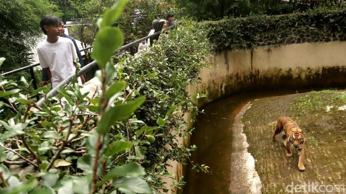 Kebun Binatang Bandung. Kebun Binatang Bandung.