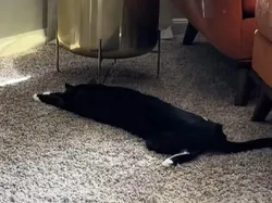 Kumpulan Potret Ilusi  yang Menipu Mata, Jangan Mau Terkecoh