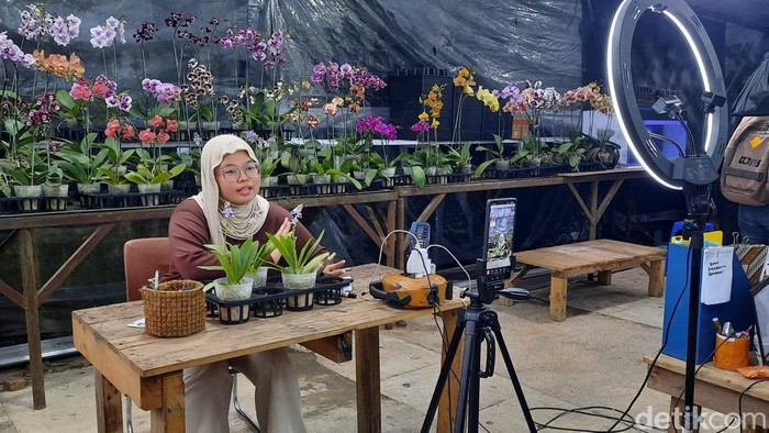 Live selling di toko anggrek Ragunan.