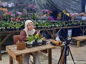 Peran Jualan Live hingga QRIS Tingkatkan Kredibilitas Pengusaha Anggrek