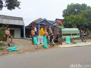 Petani Madiun Keluhkan Harga Jagung Hanya Rp 3.300 per Kg