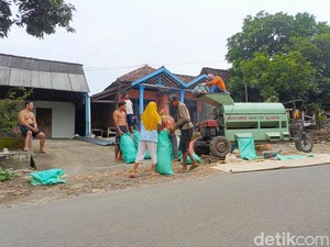 Petani Madiun Keluhkan Harga Jagung Hanya Rp 3.300 per Kg
