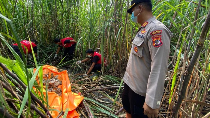 Petugas mengevakuasi kerangka manusia di ladang tebu Kaligondang, Bantul, Senin (17/3/2025).