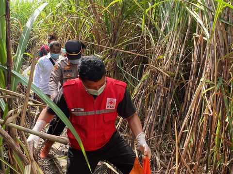 Petugas saat melakukan evakuasi kerangka manusia di ladang tebu, Kaligondang, Sumbermulyo, Bambanglipuro, Bantul Senin (17/3/2025).