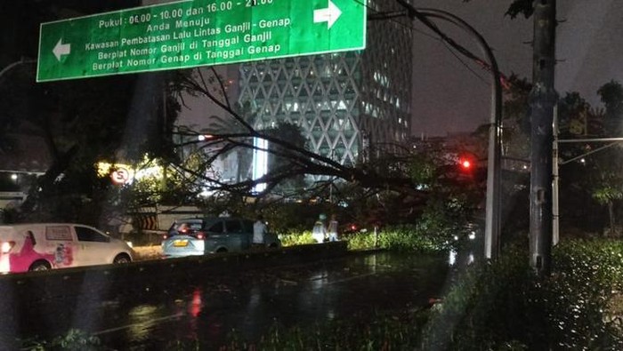 Pohon tumbang di Jl Kebon Sirih, Jakpus