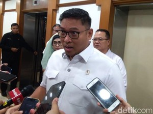 Wamentan Ungkap Masalah Serius Jika Bulog Tak Optimal Serap Gabah Petani