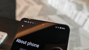 Di bagian depan terdapat punch-hole yang diisi kamera depan 32 MP. Foto: Virgina Maulita Putri/detikINET