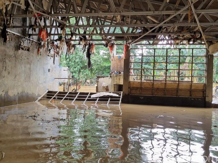 Potret Banjir Menyergap Cawang dan Pejaten Imbas Ciliwung Meluap