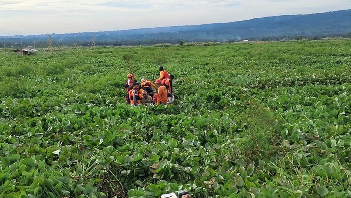 Pencari enceng gondok di Danau Rawapening, Semarang, dievakuasi.