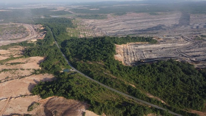 Lokasi habitat orang utan di Kutim yang menyempit akibat aktivitas tambang yang menyempit akibat aktivitas tambang