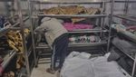 Israel Kembali Gempur Gaza di Tengah Gencatan Senjata, 121 Orang Tewas