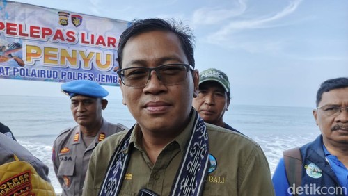 Kepala BKSDA Bali, Ratna Hendratmoko saat ditemui detikBali usai pelepasliaran penyu hijau di Pantai Perancak, Kecamatan Jembrana, Selasa (18/3/2025).