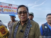 Modus Perdagangan Daging Penyu di Bali: Jadi Menu Spesial di Sejumlah Warung