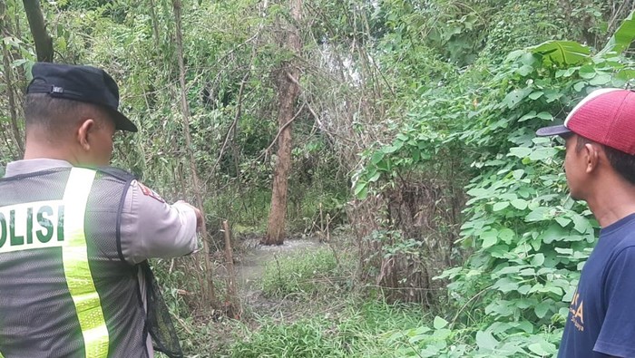Lokasi air bergelembung muncul dari pohon klampis Bojonegoro