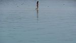 Pesona Pulau di Mediterania Timur yang Cantik
