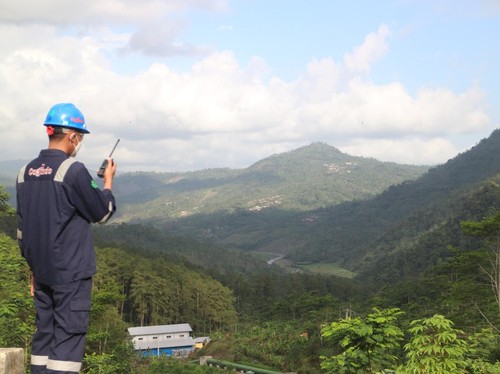 Tekan Emisi Karbon, PLN IP Sudah Jual 39.265 Ton Karbon