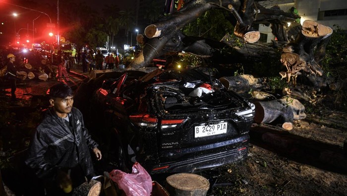 Petugas mengevakuasi kendaraan yang tertimpa pohon tumbang setelah hujan deras disertai angin kencang di kawasan Kebon Sirih, Jakara Pusat, Selasa (18/3/2025) dini hari. Pohon tumbang tersebut menimpa dua mobil mengakibatkan dua orang meningal dunia. ANTARA FOTO/Muhammad Adimaja/Spt.