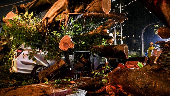 Petugas mengevakuasi kendaraan yang tertimpa pohon tumbang setelah hujan deras disertai angin kencang di kawasan Kebon Sirih, Jakara Pusat, Selasa (18/3/2025) dini hari. Pohon tumbang tersebut menimpa dua mobil mengakibatkan dua orang meningal dunia. ANTARA FOTO/Muhammad Adimaja/Spt.