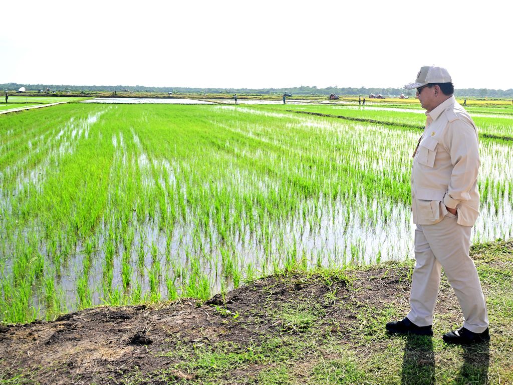 Presiden Prabowo Subianto berkunjung ke Desa Wanam, Kabupaten Merauke, Provinsi Papua Selatan, Minggu (3/11/2024). Presiden Prabowo Subianto berkunjung ke Desa Wanam, Kabupaten Merauke, Provinsi Papua Selatan, Minggu (3/11/2024). (Dok. Setpres/Rusman)