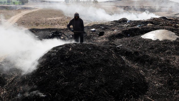 Ramadan, Permintaan Arang di Irak Meningkat Workers collect firewood to produce charcoal, widely used for grilling, as demand rises during Ramadan in Mosul, Iraq, March 15, 2025. REUTERS/Khalid al-Mousily