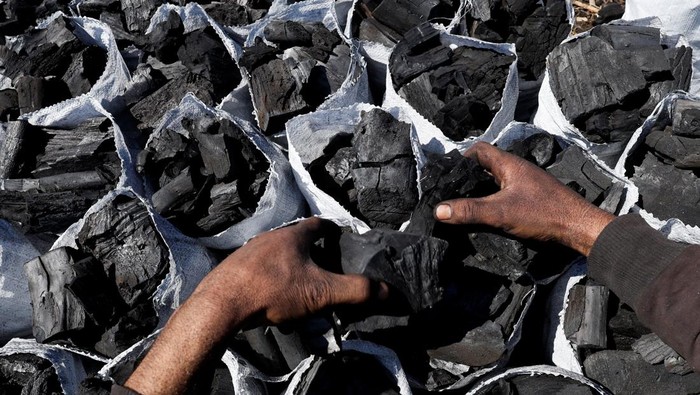 Ramadan, Permintaan Arang di Irak Meningkat Workers collect firewood to produce charcoal, widely used for grilling, as demand rises during Ramadan in Mosul, Iraq, March 15, 2025. REUTERS/Khalid al-Mousily