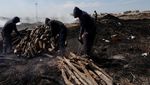 Ramadan, Permintaan Arang di Irak Meningkat